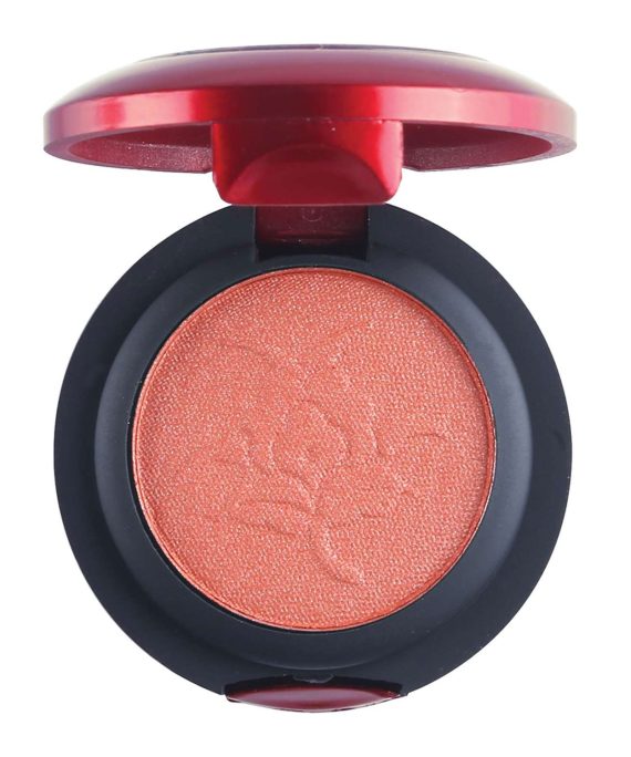 ASPE-20-Remember Me-Eye Shadow-AO Color Cosmetics